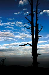 20110414113602_2_spring_tra2_58VCMbnQX_tqbzpFabuebO.jpg