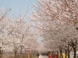 20110414141734_6_spring_tra21_vIHkgFPR4XyJ_5uNkEacgkozvdxW.jpg