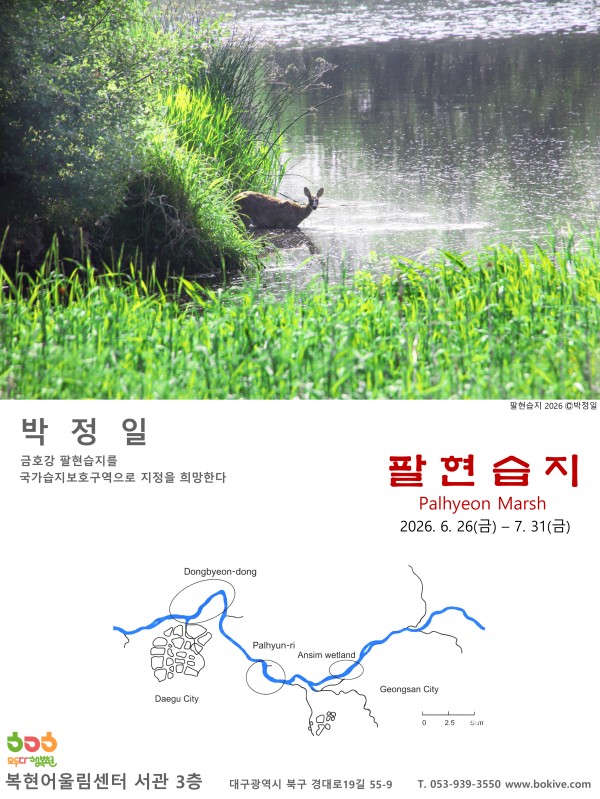 팔현습지